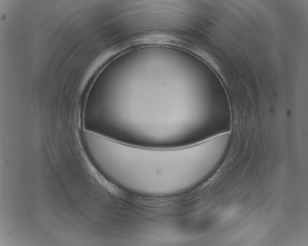 X0000074021131200608211102
