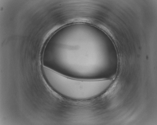 X0000074021133200608211102