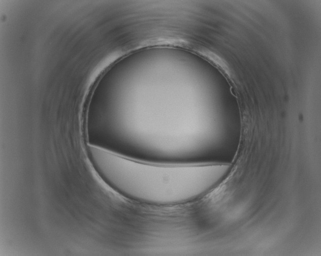 X0000074021135200608211102