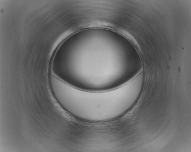 X0000074021138200608211102