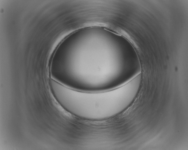 X0000074021140200608211102