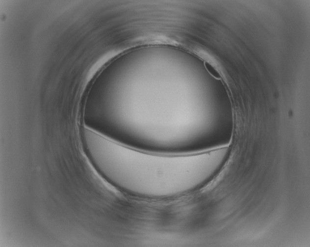 X0000074021141200608211102