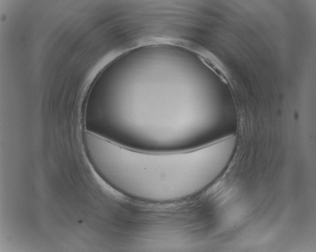 X0000074021143200608211102