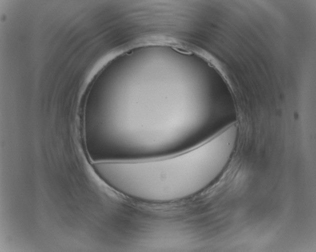 X0000074021147200608211102