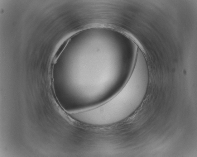X0000074021148200608211102