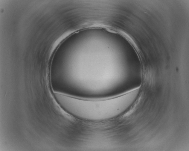 X0000074021149200608211102