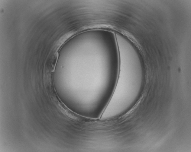 X0000074021177200608211101
