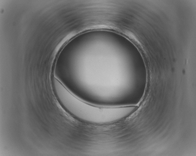 X0000074021181200608211101