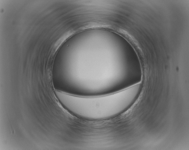 X0000074021185200608211101