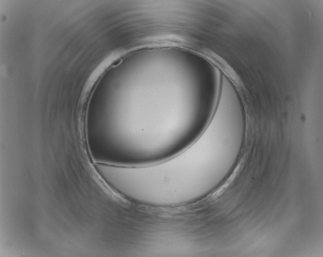 X0000074021196200608211101