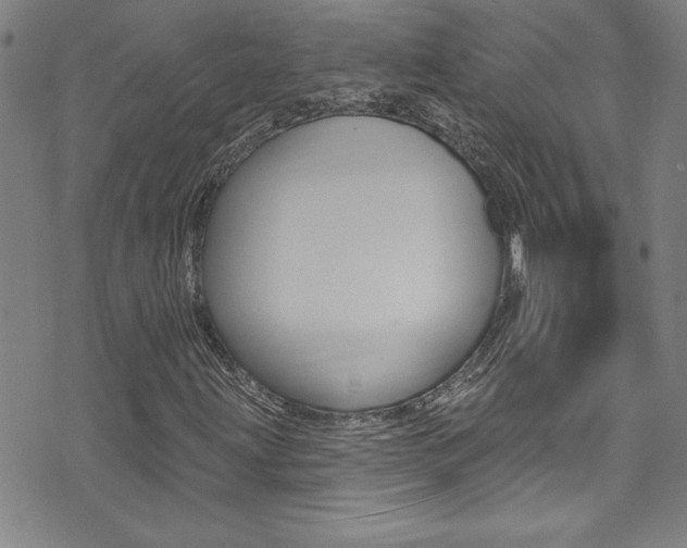 X0000074021203200608211100