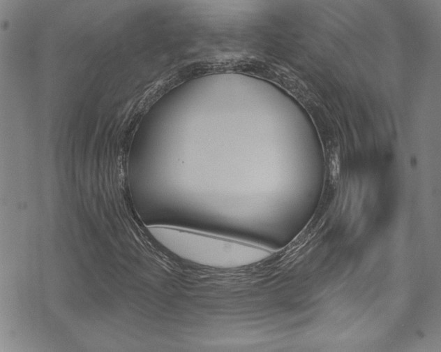 X0000074021204200608211100