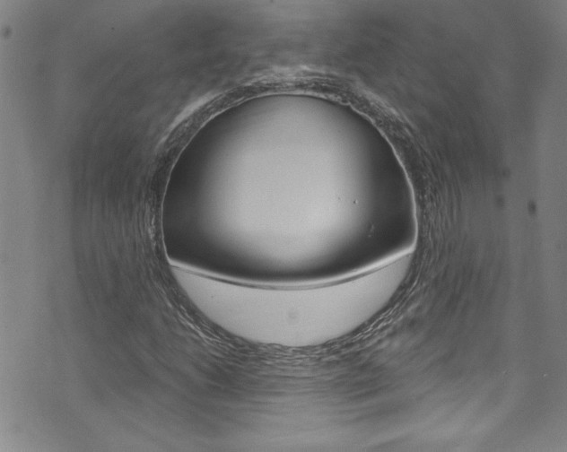 X0000074021206200608211100