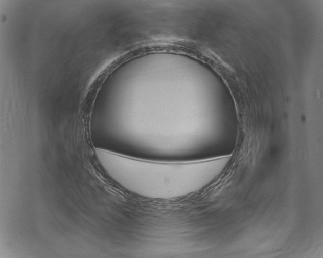 X0000074021208200608211100