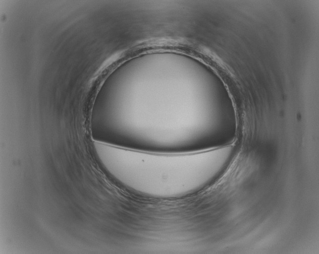 X0000074021213200608211100