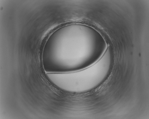 X0000074021214200608211100