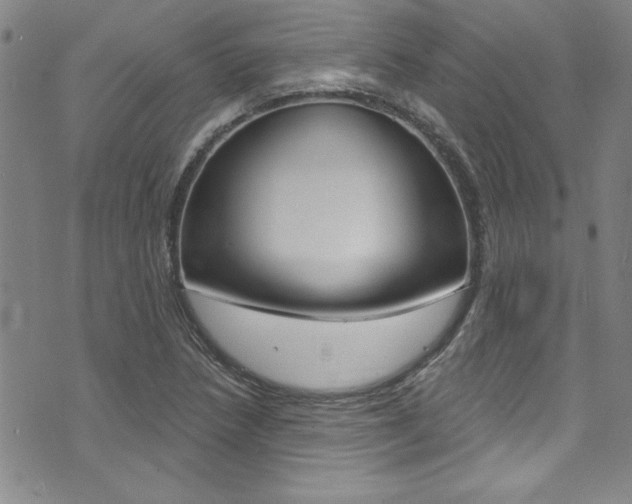 X0000074021218200608211100