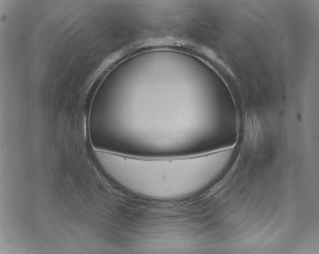 X0000074021221200608211100