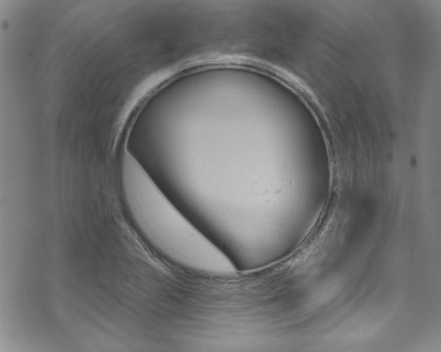 X0000074021223200608211100