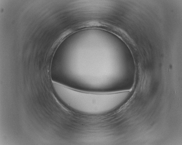 X0000074021225200608211100