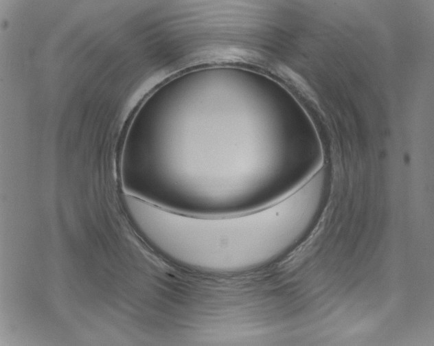 X0000074021226200608211100