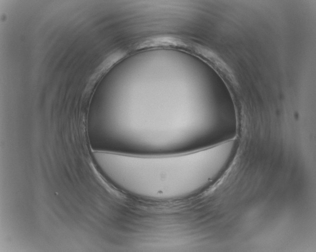 X0000074021233200608211100
