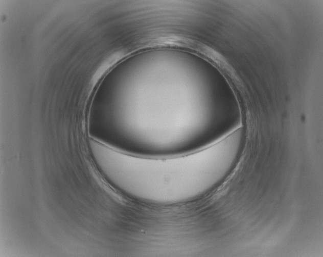 X0000074021234200608211100
