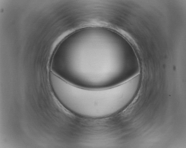 X0000074021238200608211100