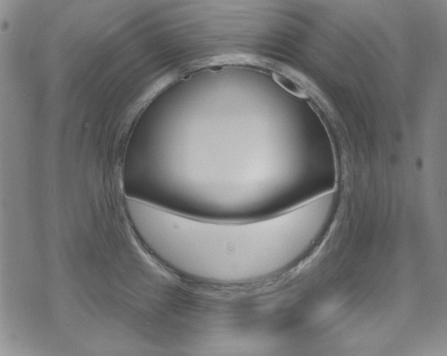 X0000074021241200608211100