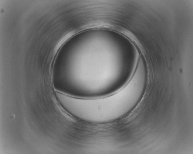 X0000074021242200608211100