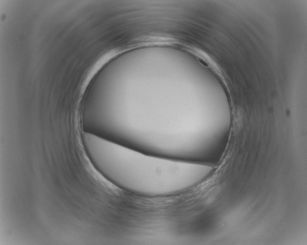 X0000074021243200608211100