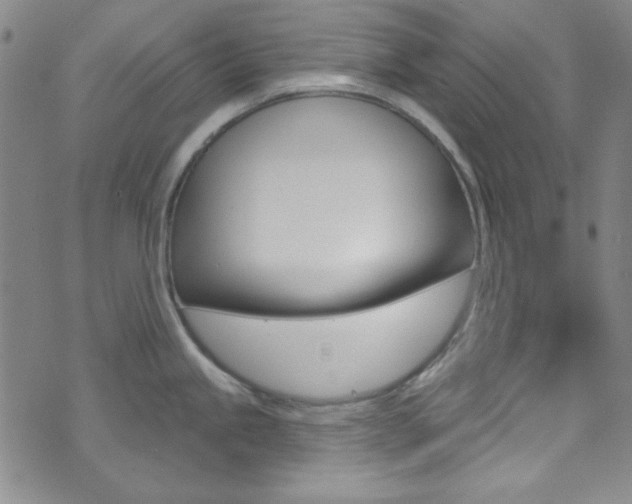 X0000074021245200608211101