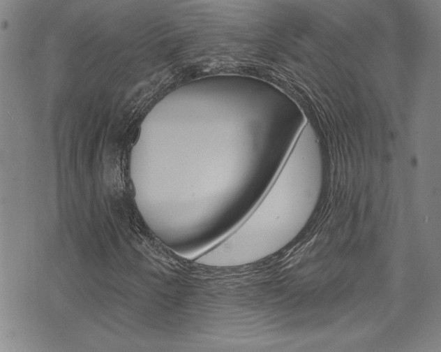 X0000074021250200608211100