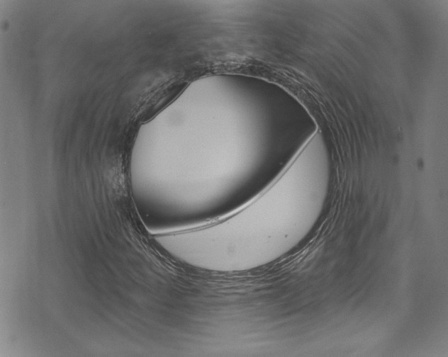 X0000074021252200608211100