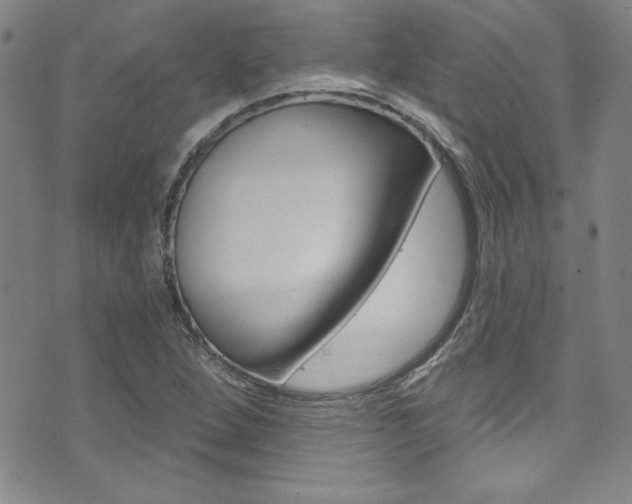 X0000074021264200608211100