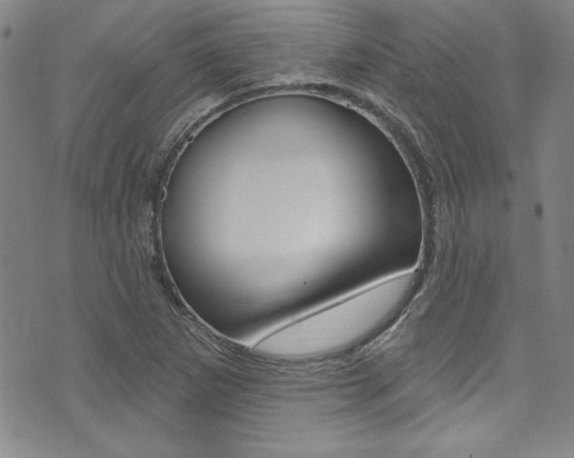 X0000074021265200608211100