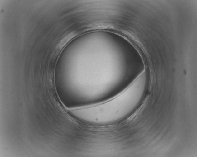 X0000074021273200608211059