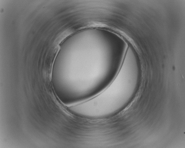 X0000074021281200608211059