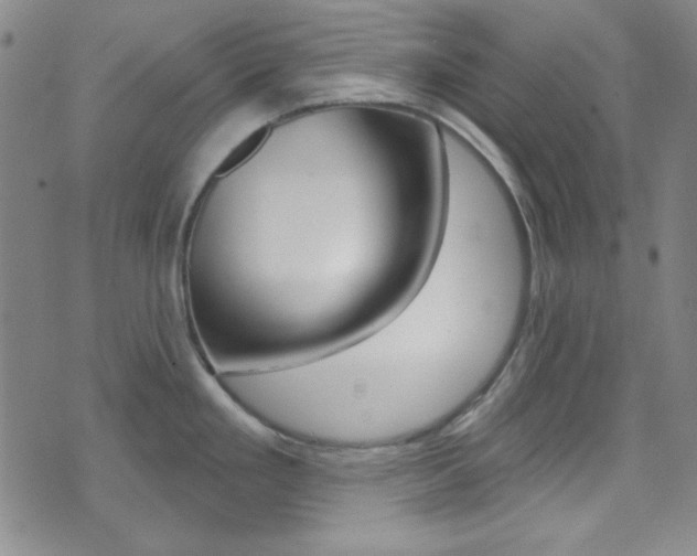 X0000074021293200608211059