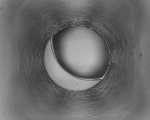 X0000074021298200608211058