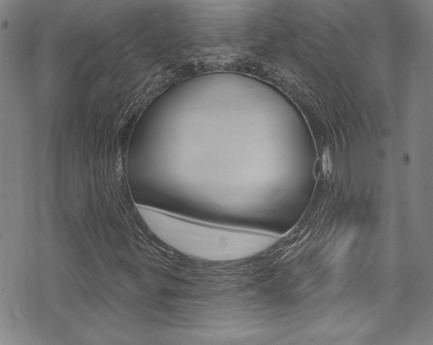 X0000074021299200608211058