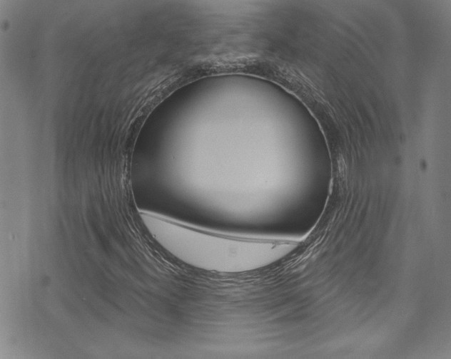 X0000074021300200608211058