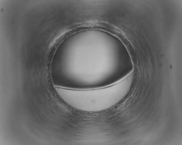 X0000074021304200608211058