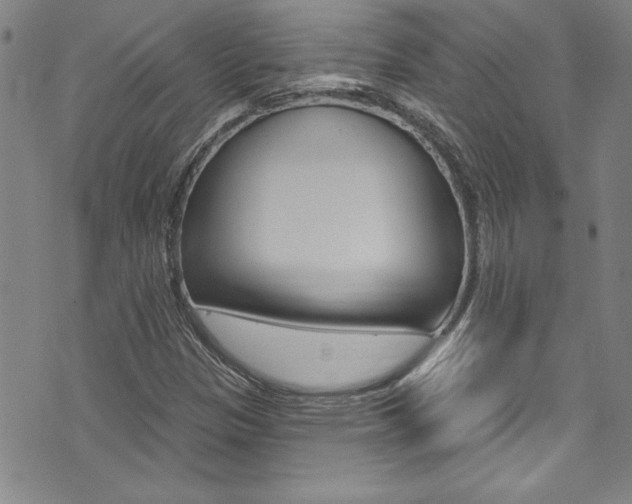X0000074021305200608211058