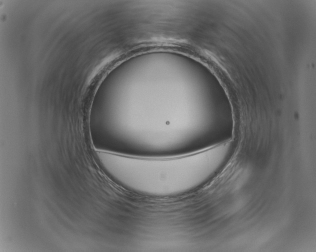 X0000074021307200608211058