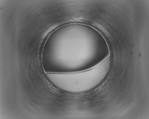 X0000074021308200608211058