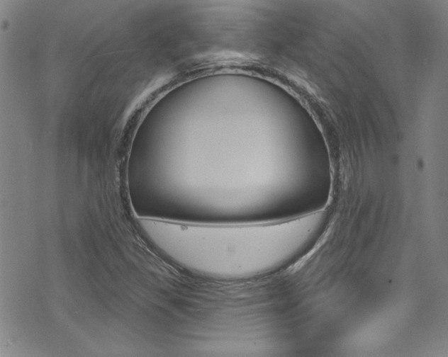 X0000074021309200608211058