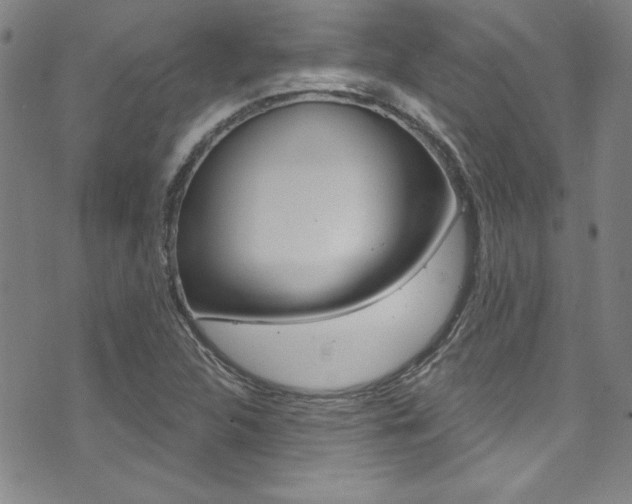 X0000074021312200608211058