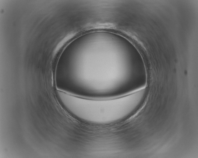 X0000074021317200608211059