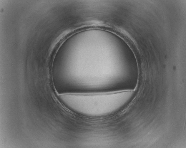 X0000074021318200608211059